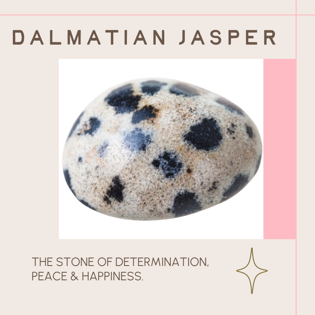 Dalmatian Jasper | Gemstone Statement Ring