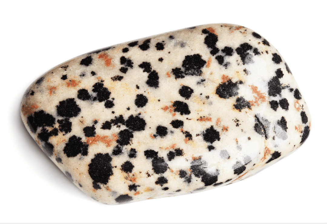 Dalmatian Jasper: Your Companion for Determination, Peace, and Happiness