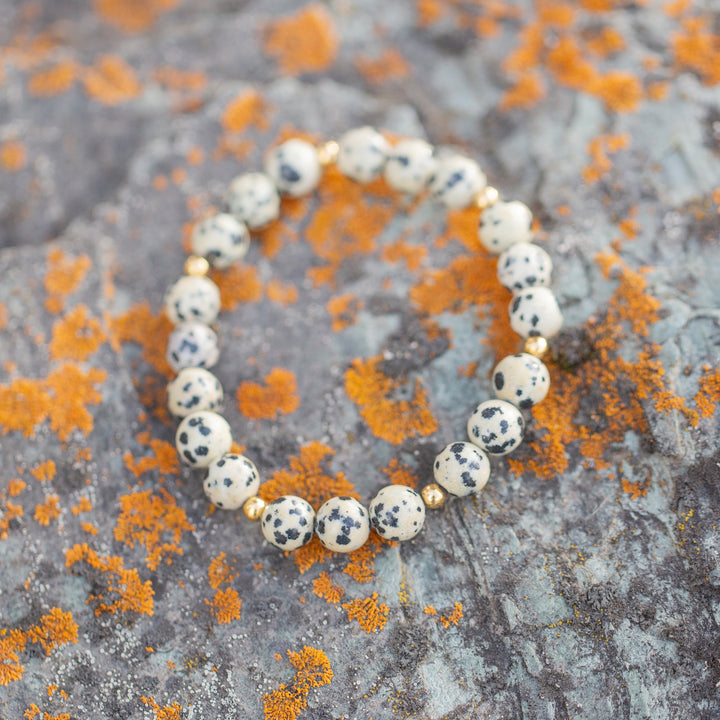 natural dalmatian jasper bracelet