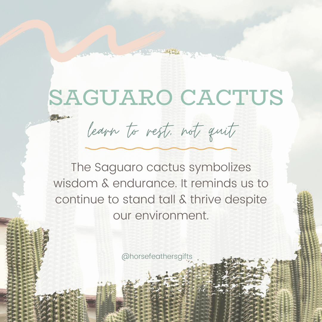 saguaro cactus charm meaning 